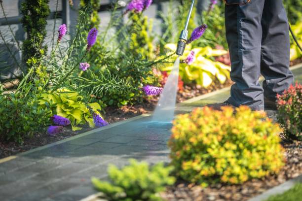 Best Gutter Cleaning  in Moore Haven, FL